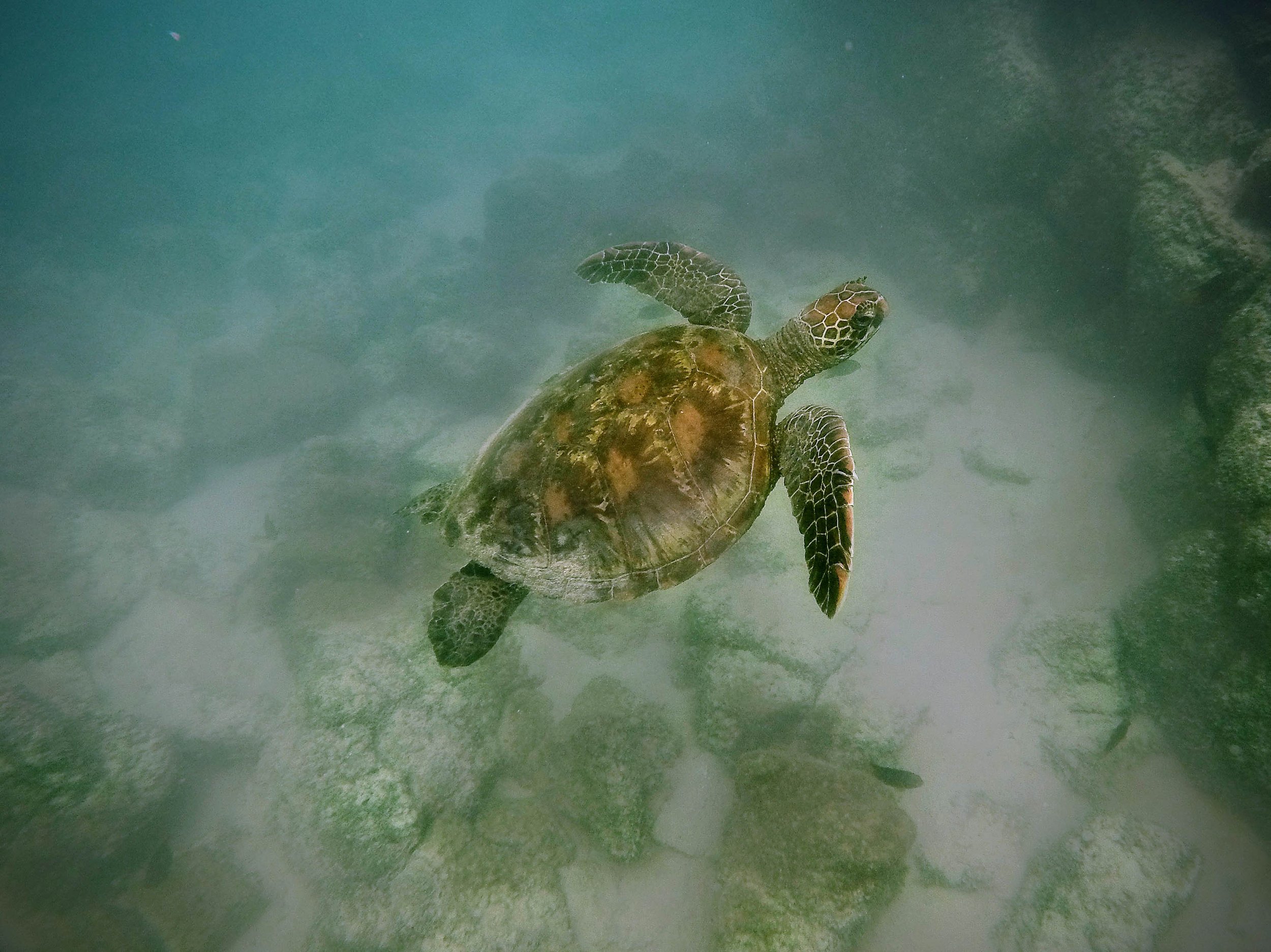 Cold southern coastline and mountains from a small-boat expedition