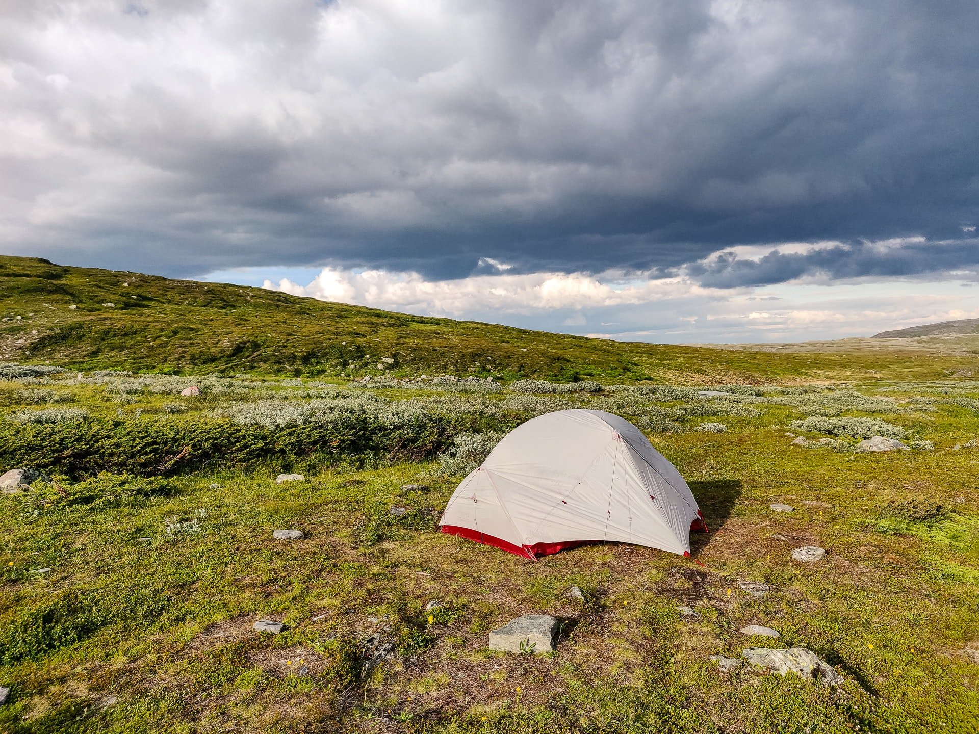 Forest path and lakeshore along a long Swedish section hike