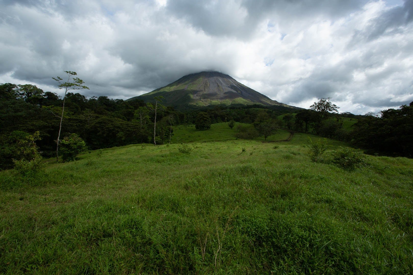 Lush tropical forest and trail light, Costa Rica