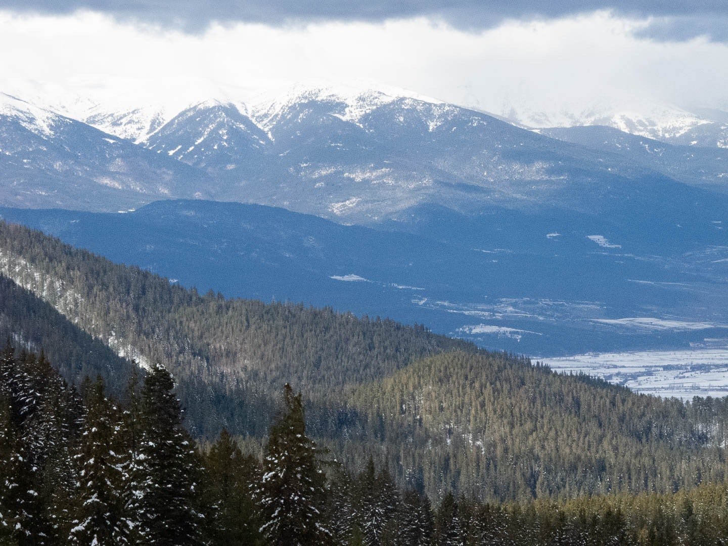 Snow-covered ski slopes below pine ridges, Bansko