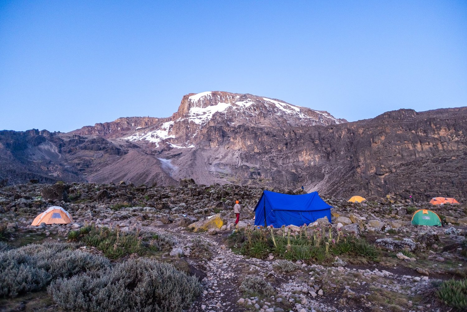 Sunset light on Mount Kilimanjaro between Shira Camp and Barranco Camp